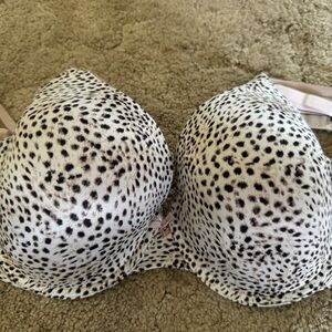 VS leopard print bra
